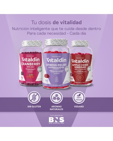 Gominolas de Ashwagandha - Vitaldin