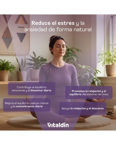 Gominolas de Ashwagandha - Vitaldin