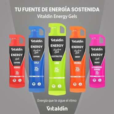 24 x Gel energético Hydro electrolitos lima - Vitaldin