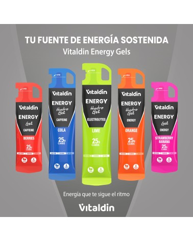 Gel energético Hydro electrolitos lima - Vitaldin
