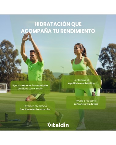 Lime Electrolyte Gummies - Vitaldin