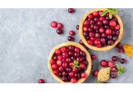 Frutos rojos para la cistitis: propiedades y suplemento